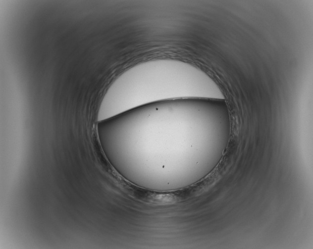 X0000116570324200912101008