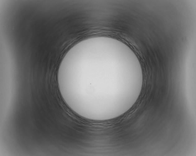 X0000116570325200912101008