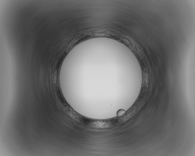 X0000116570326200912101008