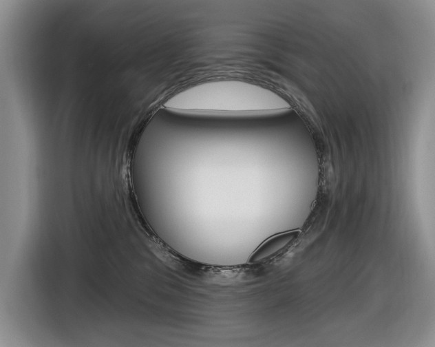 X0000116570329200912101008