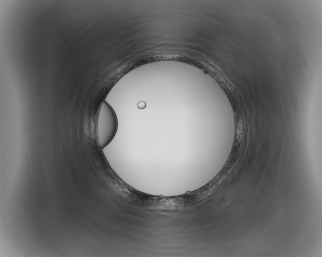 X0000116570330200912101008