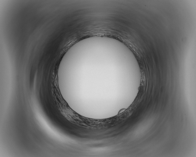 X0000116570334200912101008