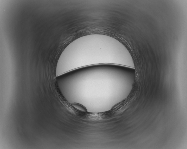 X0000116570335200912101008