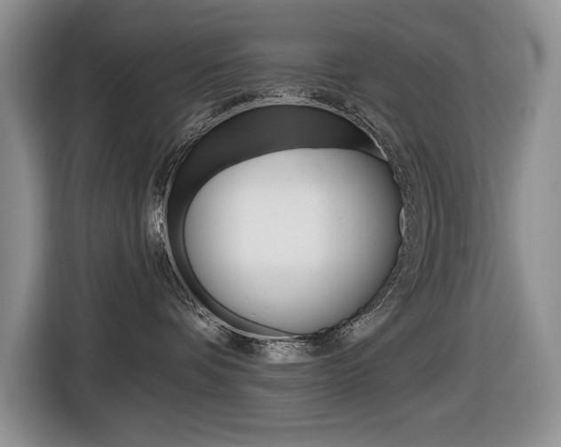 X0000116570336200912101008