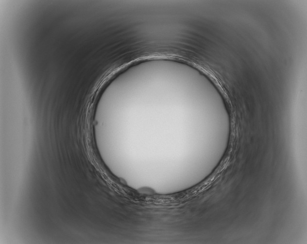 X0000116570337200912101008