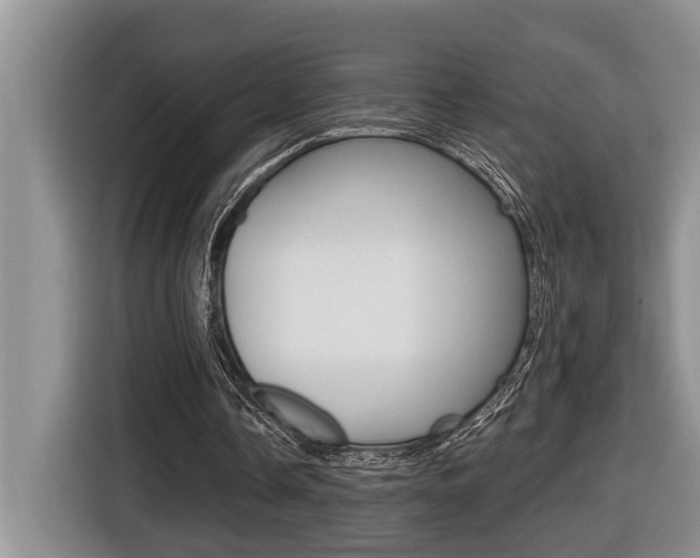 X0000116570338200912101008