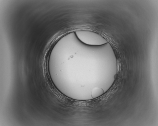 X0000116570339200912101008