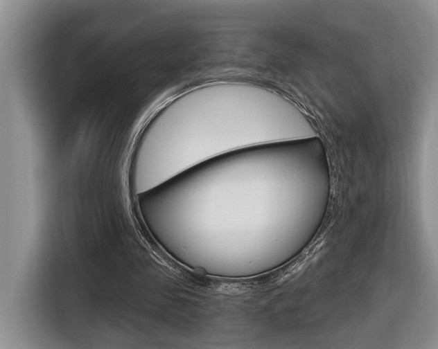 X0000116570341200912101008