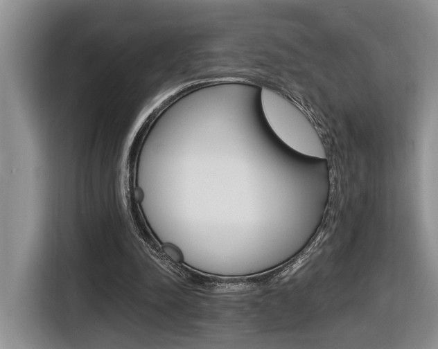 X0000116570342200912101008