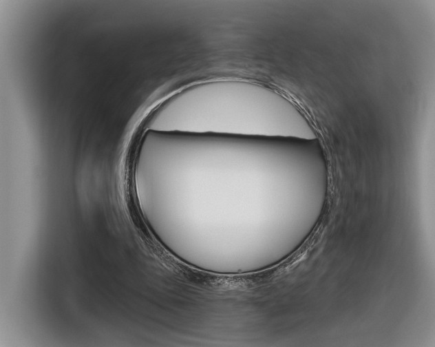 X0000116570343200912101008