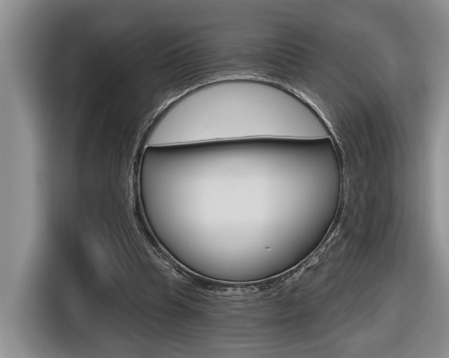 X0000116570345200912101008