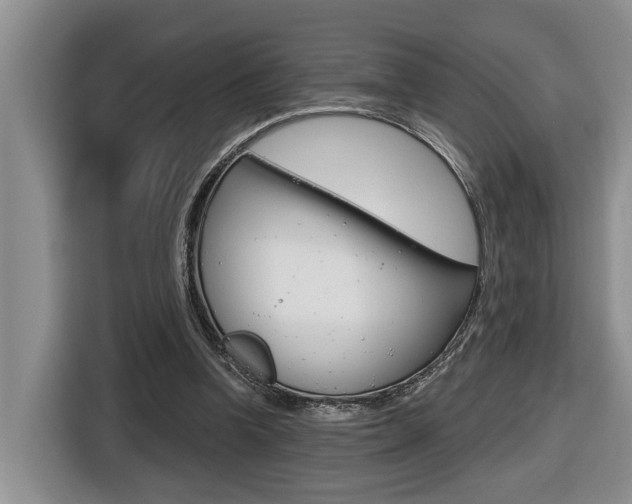 X0000116570346200912101008