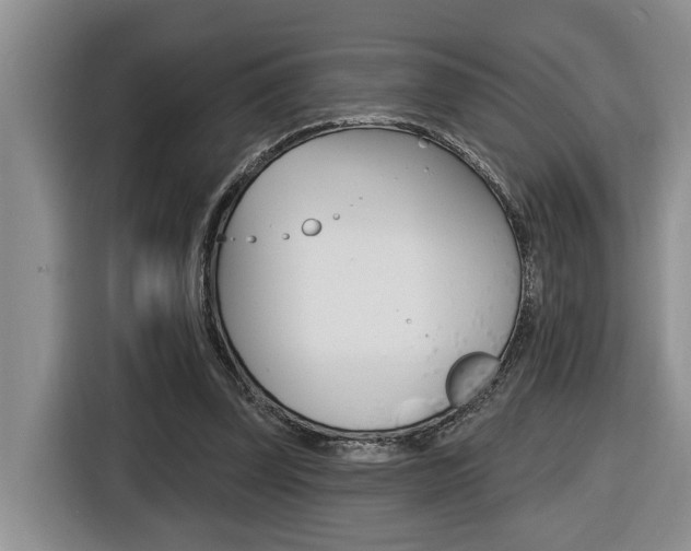 X0000116570347200912101008