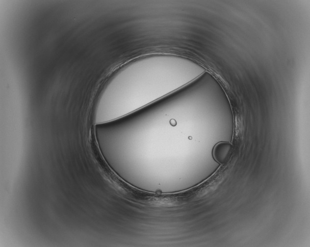 X0000116570349200912101008