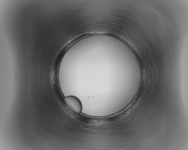 X0000116570351200912101008