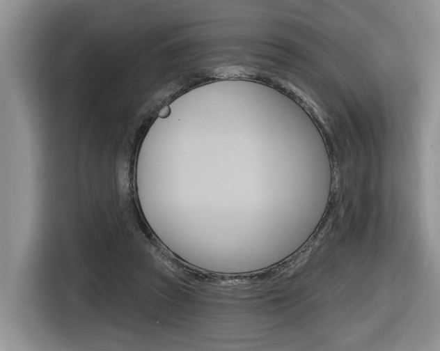 X0000116570353200912101008