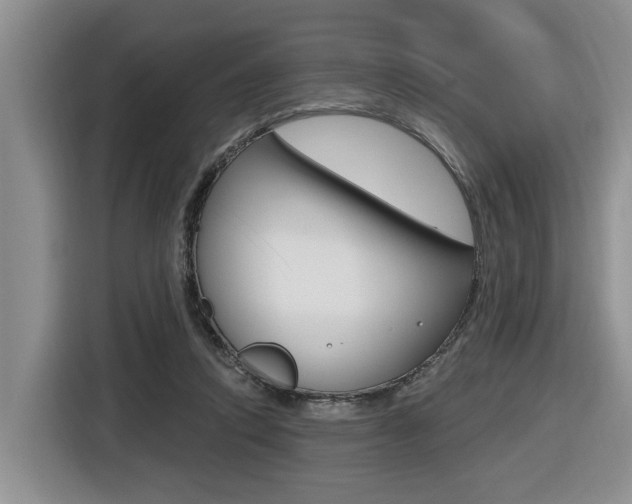 X0000116570354200912101008