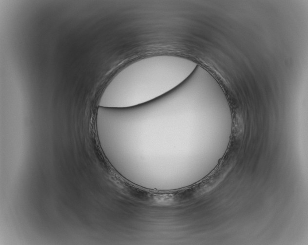 X0000116570355200912101008