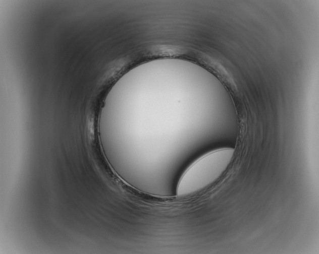 X0000116570358200912101008