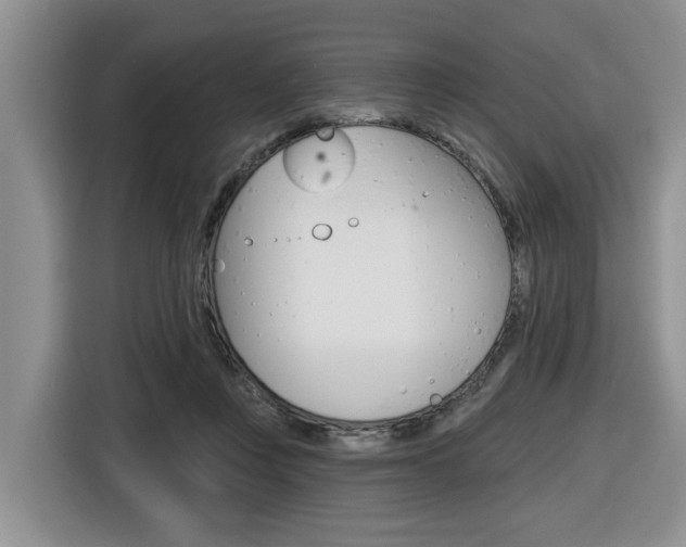 X0000116570359200912101008