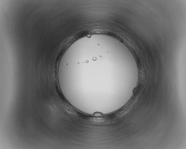 X0000116570361200912101008