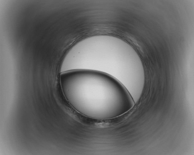 X0000116570362200912101008