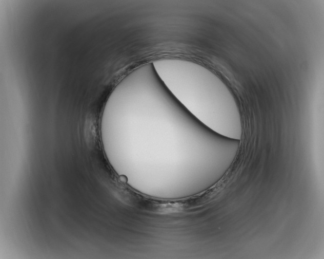 X0000116570363200912101008