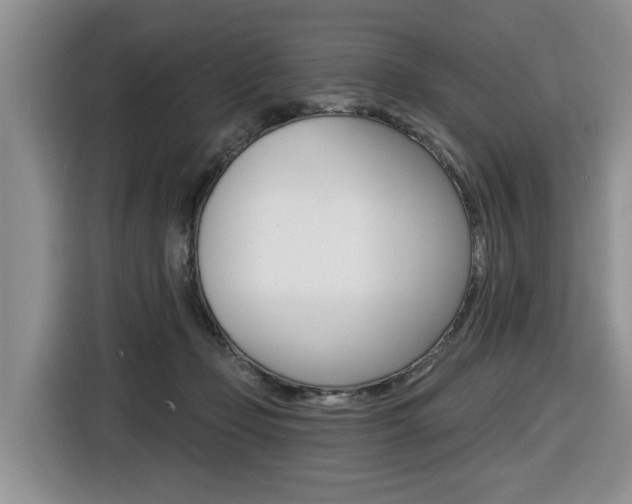 X0000116570365200912101008