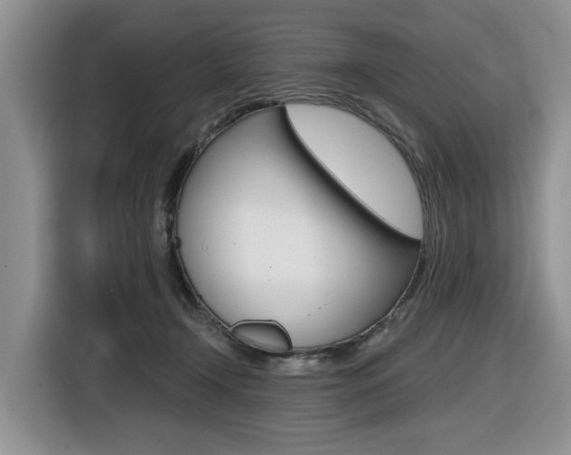 X0000116570366200912101008