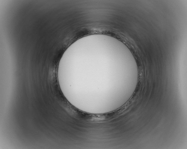 X0000116570369200912101008