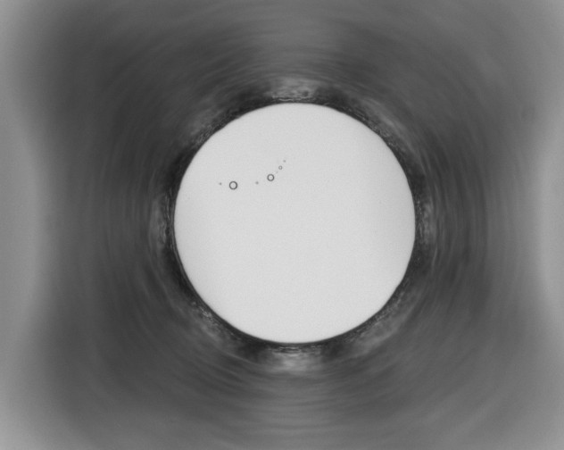 X0000116570370200912101008