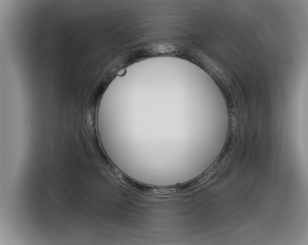 X0000116570373200912101008