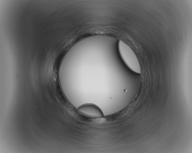 X0000116570374200912101008