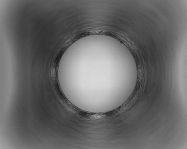 X0000116570375200912101008