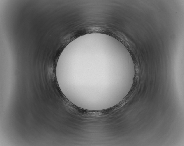 X0000116570377200912101008