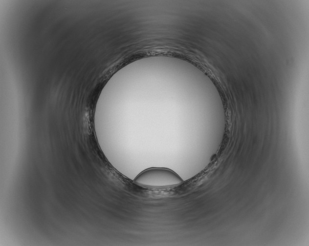 X0000116570378200912101008