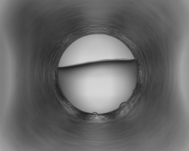 X0000116570379200912101008