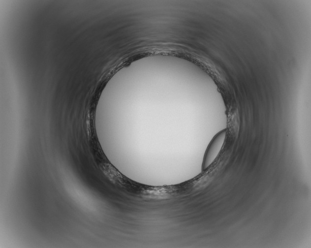 X0000116570381200912101008