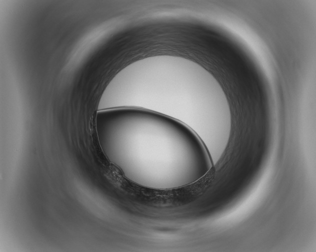 X0000116570382200912101008