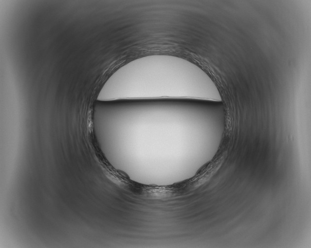 X0000116570383200912101008