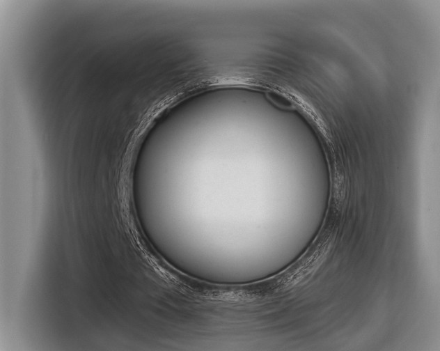 X0000116570385200912101008