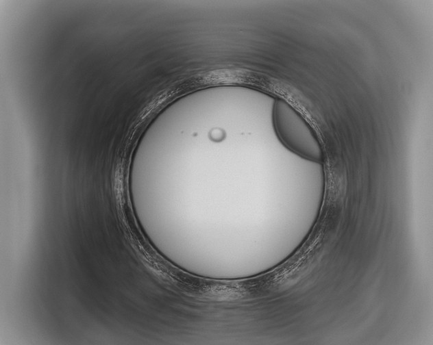 X0000116570386200912101008