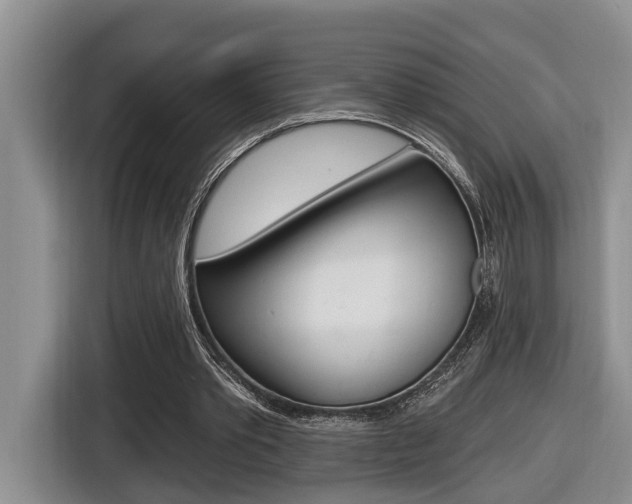 X0000116570389200912101008