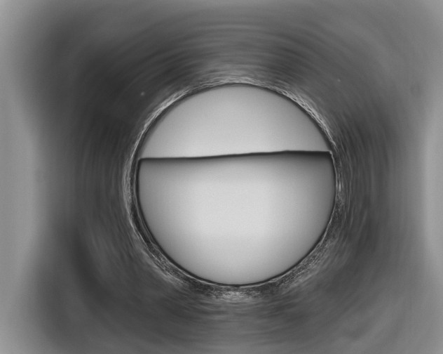 X0000116570390200912101008