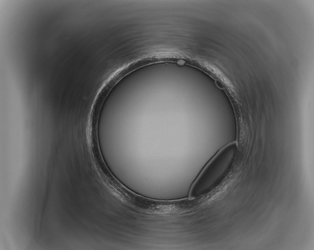 X0000116570391200912101007