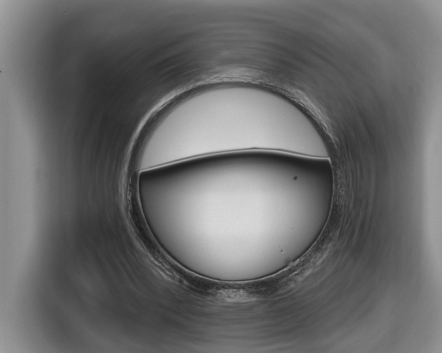 X0000116570392200912101007