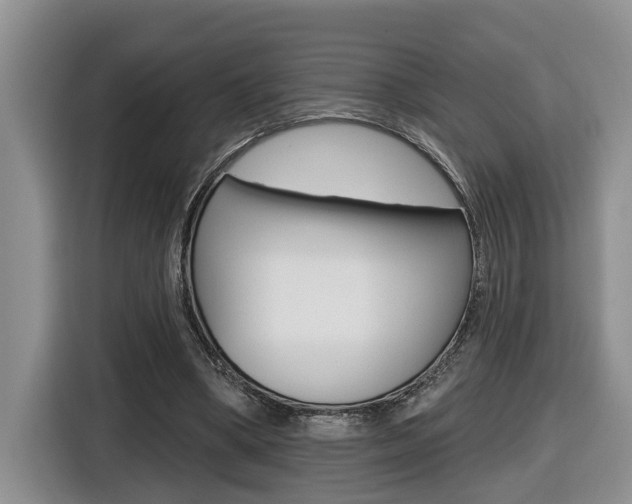 X0000116570394200912101007