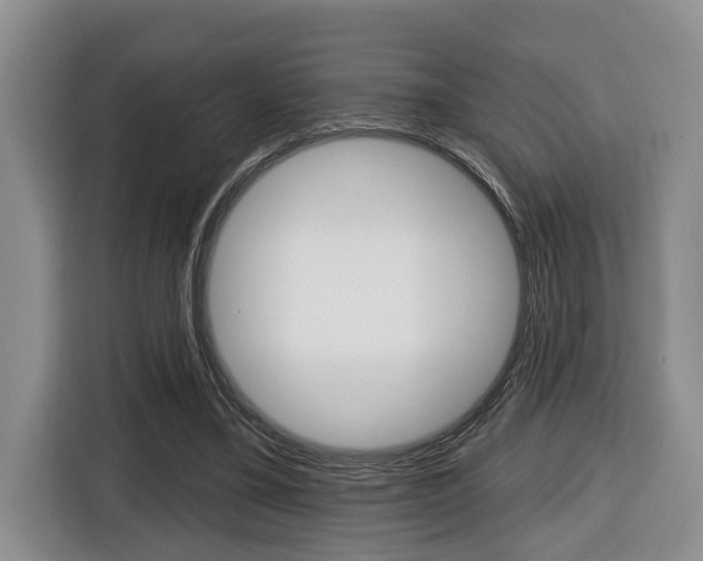 X0000116570395200912101007