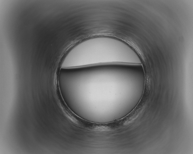 X0000116570397200912101007