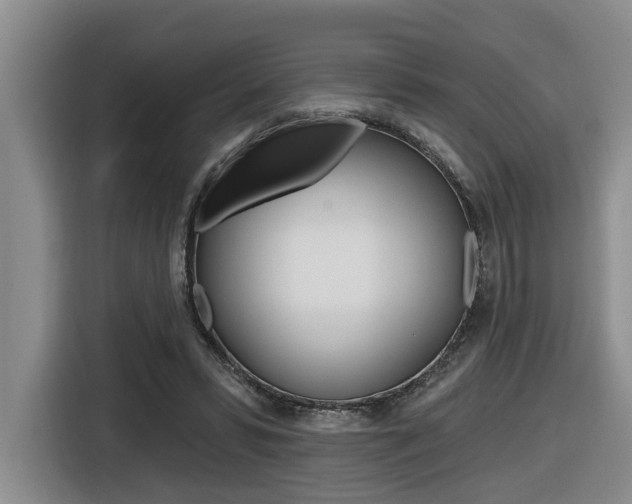 X0000116570399200912101007